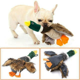 8.5" Realistic Small Plush Mallard Duck Squeak Toy For Dog - Durable & Colorful