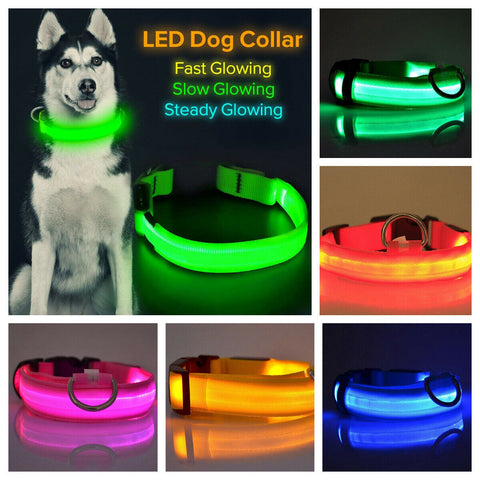 LED Light up Dog Collar Pet Night Safety Bright Flashing Adjustable Nylon Leash